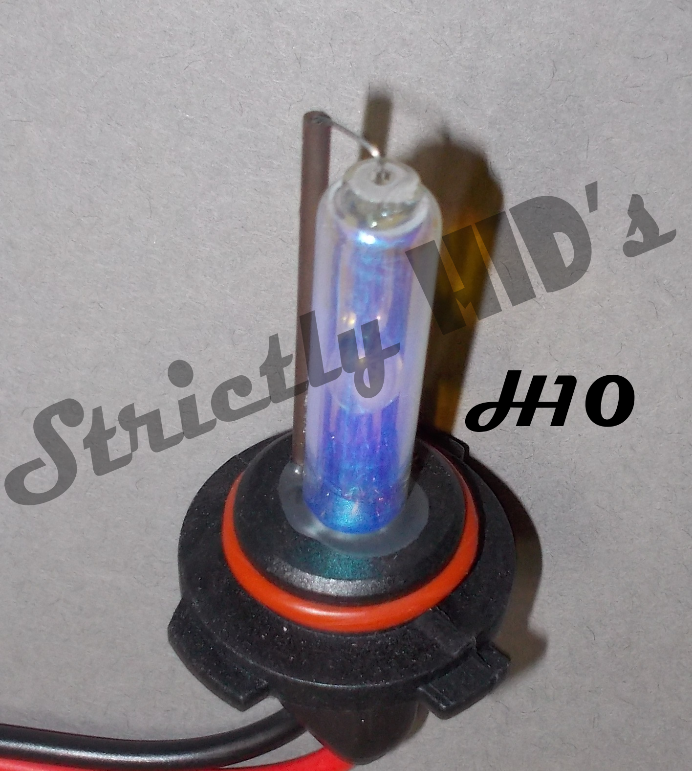 H10 bulb