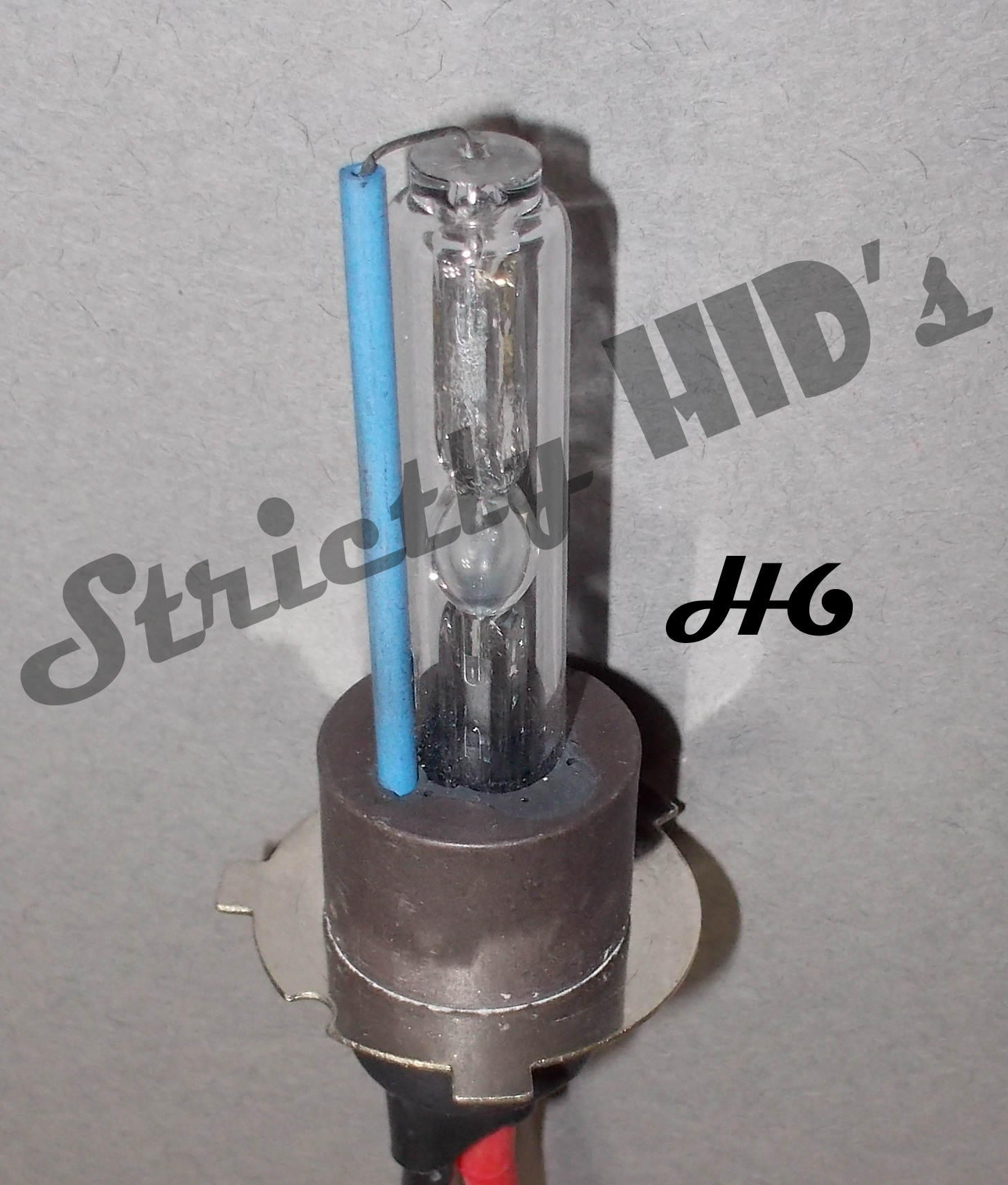 H6 bulb