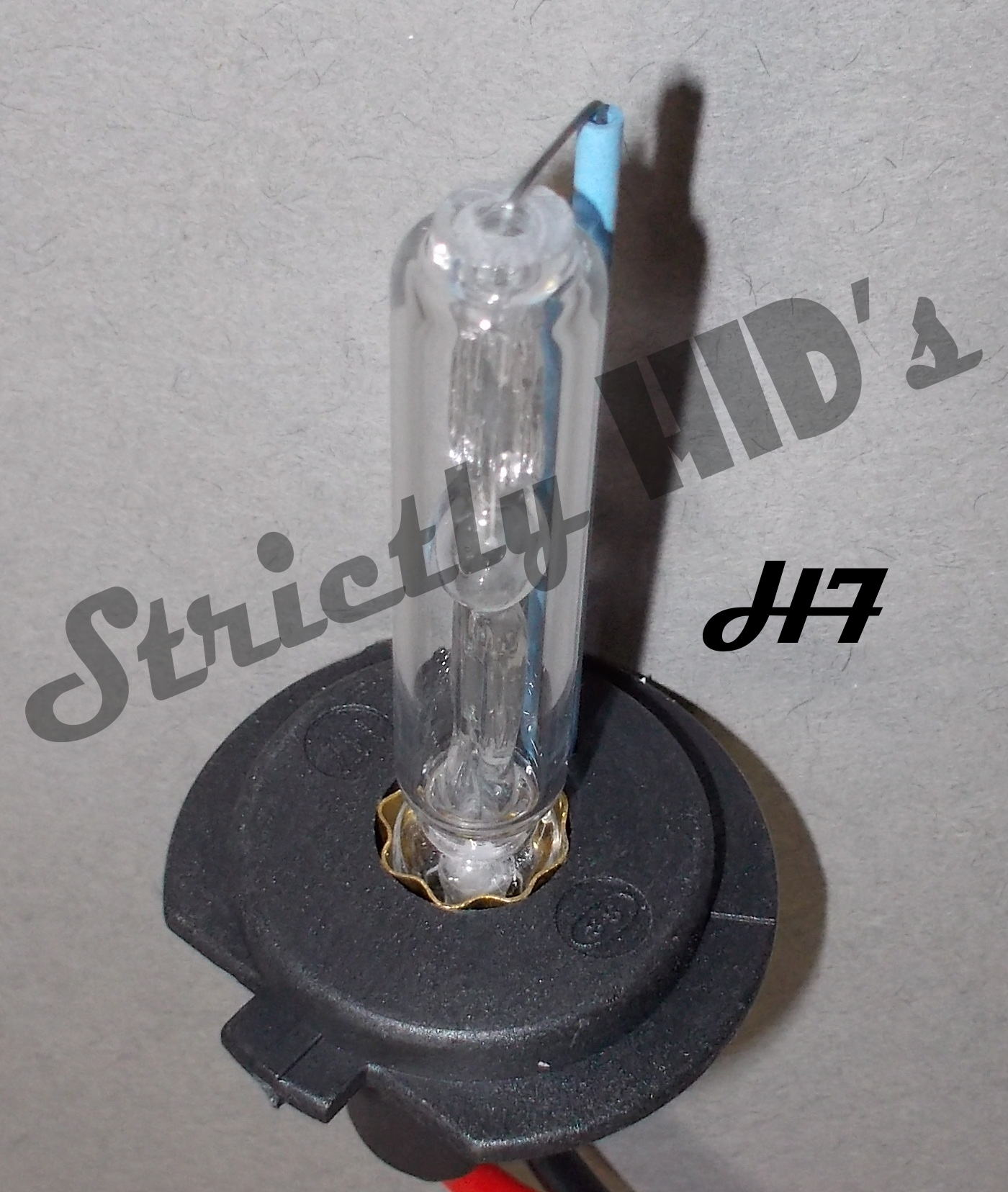 H7 bulb